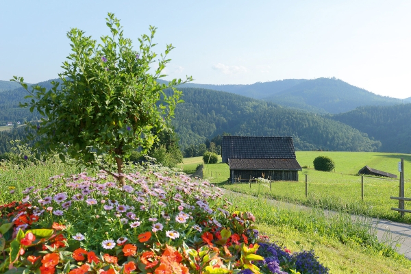 Sackmann´s Wanderhotel Löwen